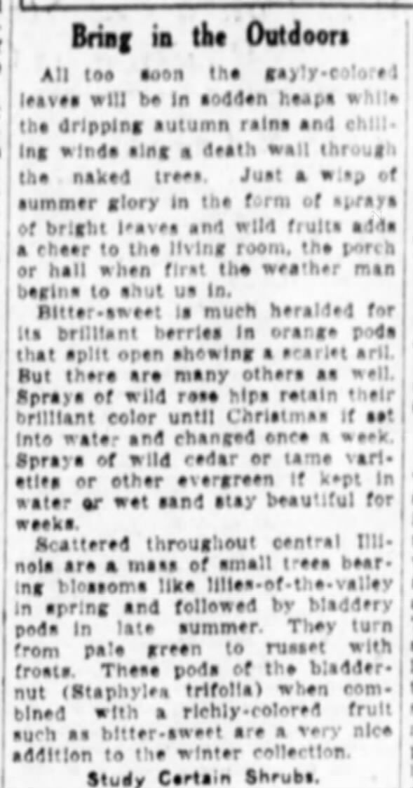 Clipping from The Pantagraph